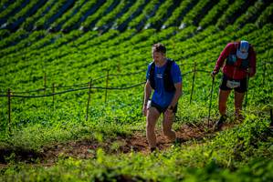 BIB: 
                            <button type="button" onclick="openModal(19161246)" class="btn btn-primary btn-sm float-right btn-popup" data-toggle="modal" data-target=".modal-high-quality">
                        <i class="fas fa-shopping-cart"></i> Add to Cart
                    </button>
                                            <button type="button" onclick="isThisMe(19161246, true)" class="btn btn-success btn-sm float-right btn-popup btn-isme hidden" data-toggle="tooltip" data-placement="bottom" title="นี่คือรูปของคุณใช่ไหม คลิกที่นี่เพื่อเอาเข้าอัลบั้ม">
                        <i class="fas fa-plus"></i> Add to album
                    </button>
                    <button type="button" onclick="isThisMe(19161246, false)" class="btn btn-warning btn-sm float-right btn-popup btn-isnotme hidden">
                        <i class="fas fa-ban"></i> Remove from album
                    </button>